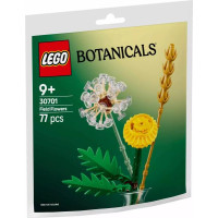 LEGO Botanicals Mezei virágok zacskós készlet 30701
