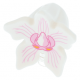 LEGO sisak virág alakú (orchidea), fehér (68102)